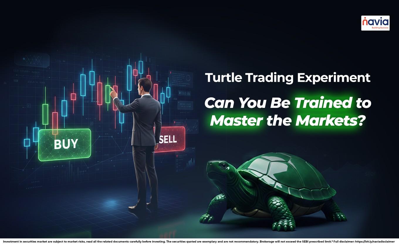 turtle trading